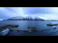 Webcam Spitsbergen - Longyearbyen