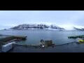 Webcam Longyearbyen (Spitsbergen)