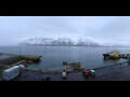 Webcam Longyearbyen (Spitsbergen)
