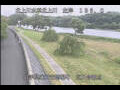 Webcam Babacho