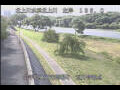 Webcam Babacho
