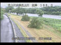 Webcam Babacho