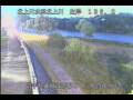 Webcam Babacho