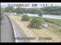 Webcam Babacho