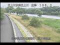 Webcam Babacho