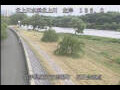 Webcam Babacho