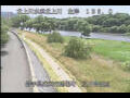 Webcam Babacho
