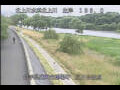Webcam Babacho