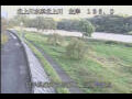 Webcam Babacho