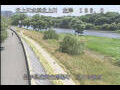 Webcam Babacho