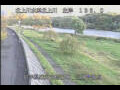 Webcam Babacho