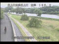 Webcam Babacho