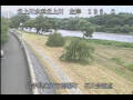 Webcam Babacho