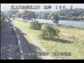 Webcam Babacho
