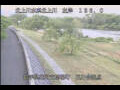 Webcam Babacho
