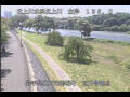Webcam Babacho