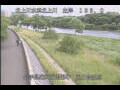 Webcam Babacho