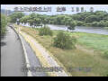 Webcam Babacho