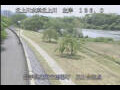 Webcam Babacho