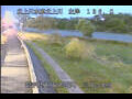 Webcam Babacho