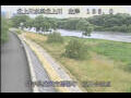 Webcam Babacho