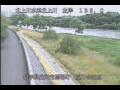 Webcam Babacho
