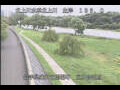Webcam Babacho