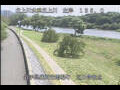 Webcam Babacho