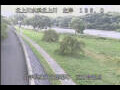 Webcam Babacho