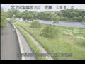 Webcam Babacho