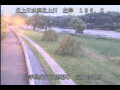 Webcam Babacho