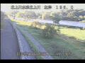 Webcam Babacho