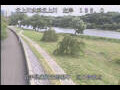 Webcam Babacho