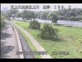 Webcam Babacho