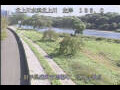 Webcam Babacho