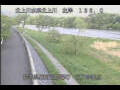 Webcam Babacho