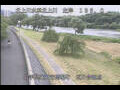 Webcam Babacho