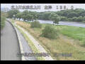 Webcam Babacho