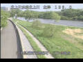 Webcam Babacho