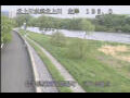 Webcam Babacho