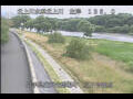 Webcam Babacho