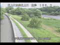 Webcam Babacho