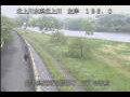 Webcam Babacho