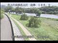 Webcam Babacho