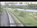Webcam Babacho