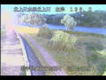 Webcam Babacho