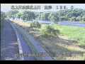 Webcam Babacho