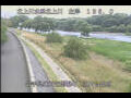 Webcam Babacho
