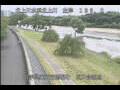 Webcam Babacho