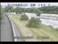 Webcam Babacho